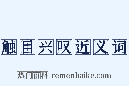 触目兴叹近义词是什么意思的图片